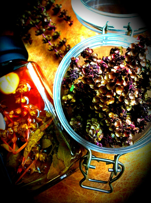 Time to make Basil seeds vinegar│羅勒種子醋