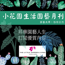 昇華園藝人生。訂閱優質內容(3天免費試閱)