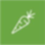 KAP-Icon-Carrot.png