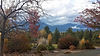 beautiful Montana Mountain scenery.jpg