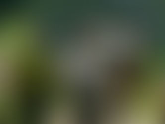 25 Gifts That All Hikers Need.