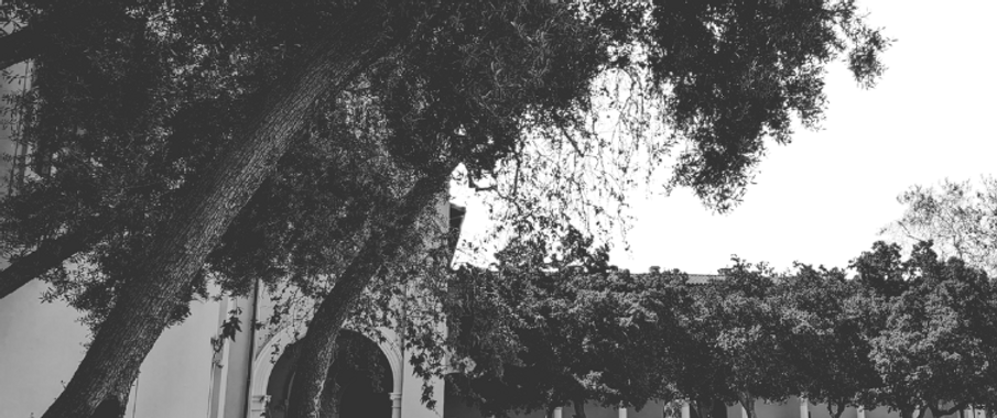 Pomona College, quad, black & white