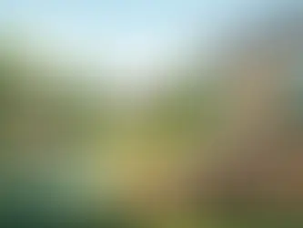 Progettare il giardino come estensione dello spazio abitativo – partendo dalla planimetria