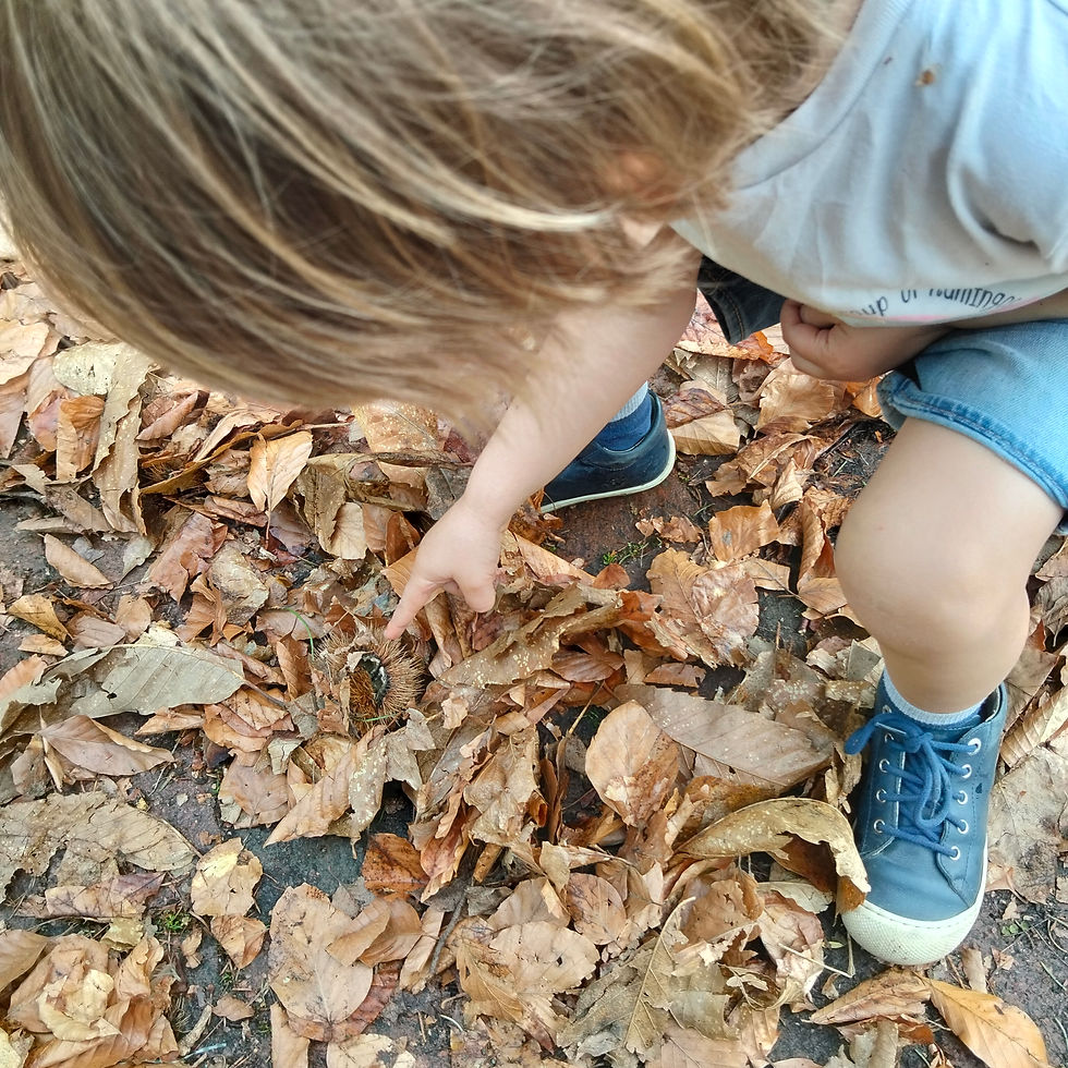 Ein Kind spielt mit Laub im Garten
