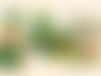 Come scegliere le piante autoctone per il giardino