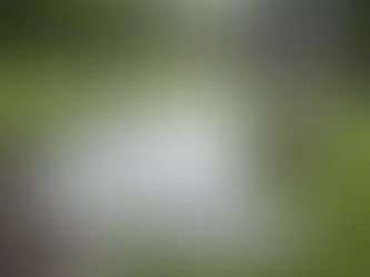 Perché l'acqua piovana non filtra in giardino?