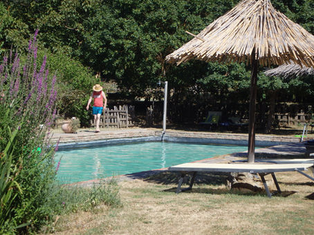 Biopiscina in Toscana