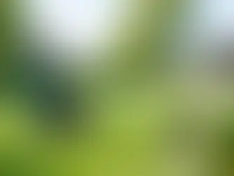 Gartenpflege für große Gärten mit System