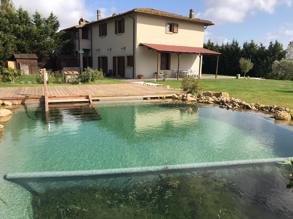 Im Zusammenspiel von Mineralfilter und Wasserpflanzen entsteht sauberstes Wasser, Projekt Schwimmteich Livorno