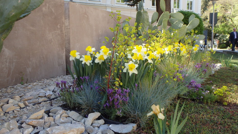 Bepflanzungskonzept Meran: Einsatz von Opuntien und Xerophyten zur Gestaltung klimaresilienter Gartenräume.