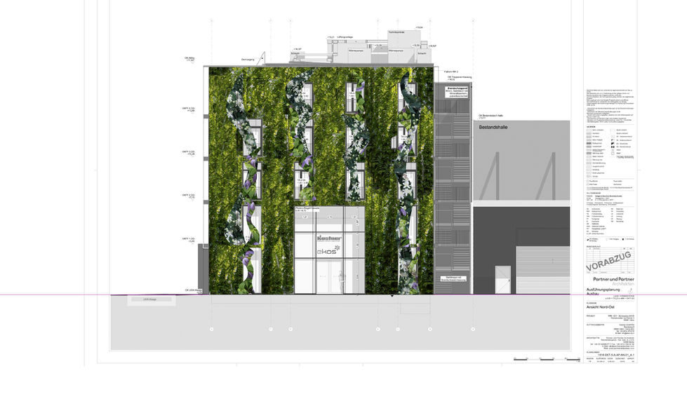 Progetto di inverdimento verticale della facciata presso l'azienda EKOS. Varna, Alto Adige.