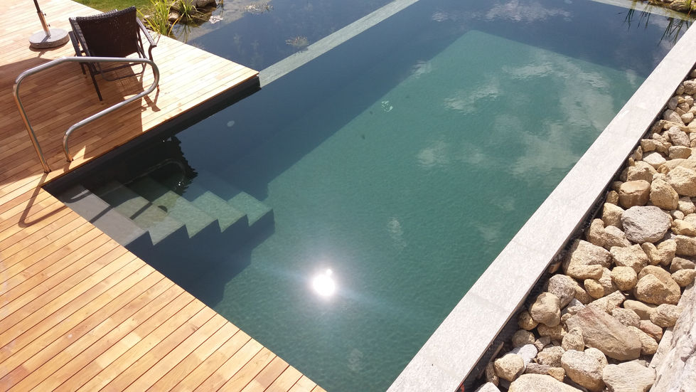 KLeiner 25 m2 großer Naturpool für den "Urlaub auf dem Bauernhof" Betrieb "Sunnhof" in Partschins, Südtirol