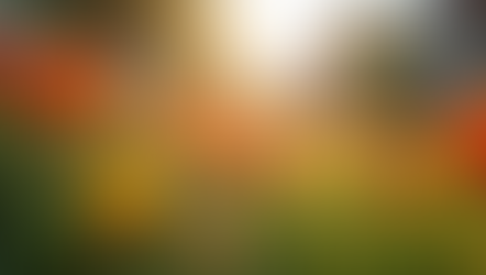 Unlocking Spiritual Healing Through Fine Arts and Gardening