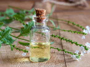 The Power of Verbena: Discovering Van Van