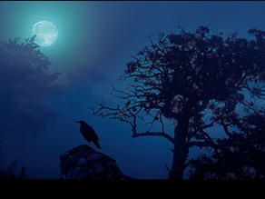 The Witching Hour: Unveiling Mysteries and Realities