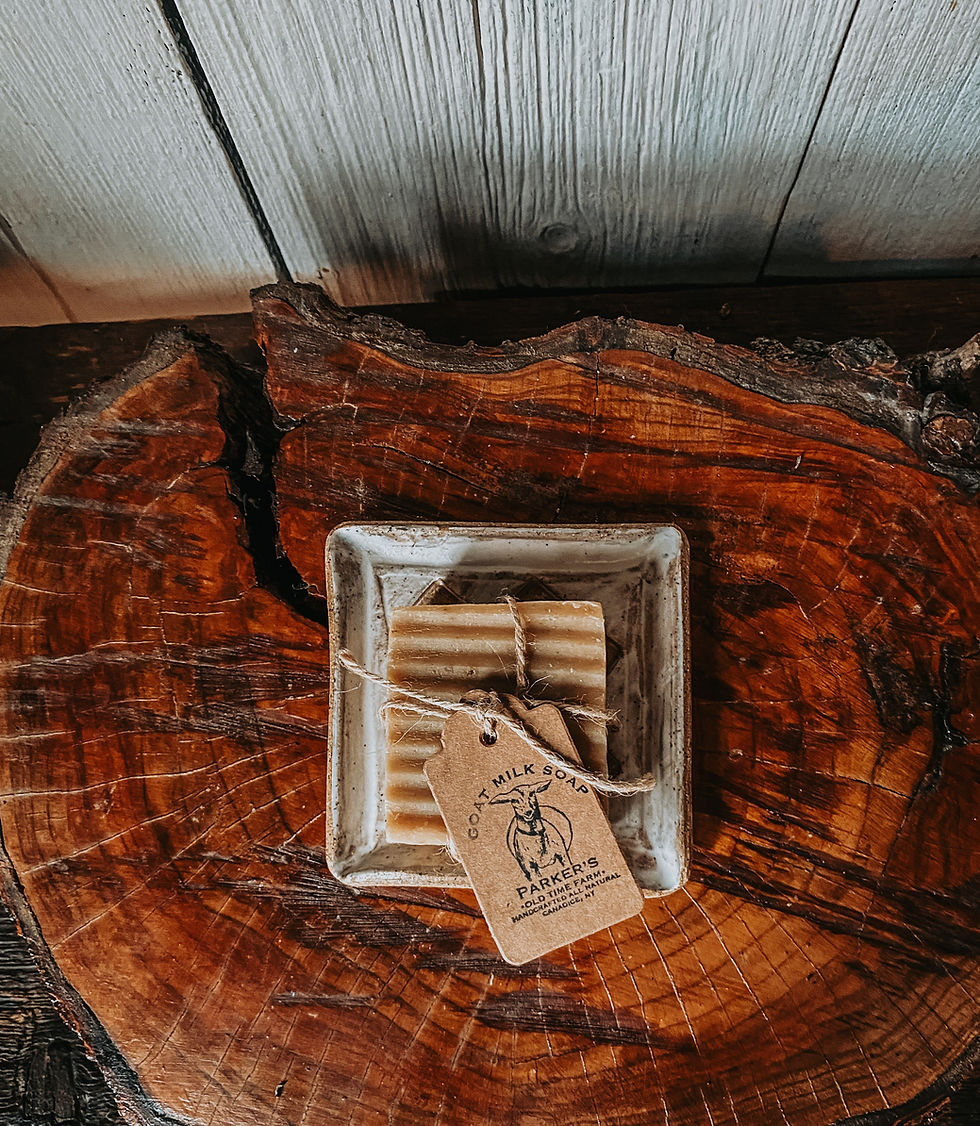 Thumbnail: SOAP DISH/ TRAY