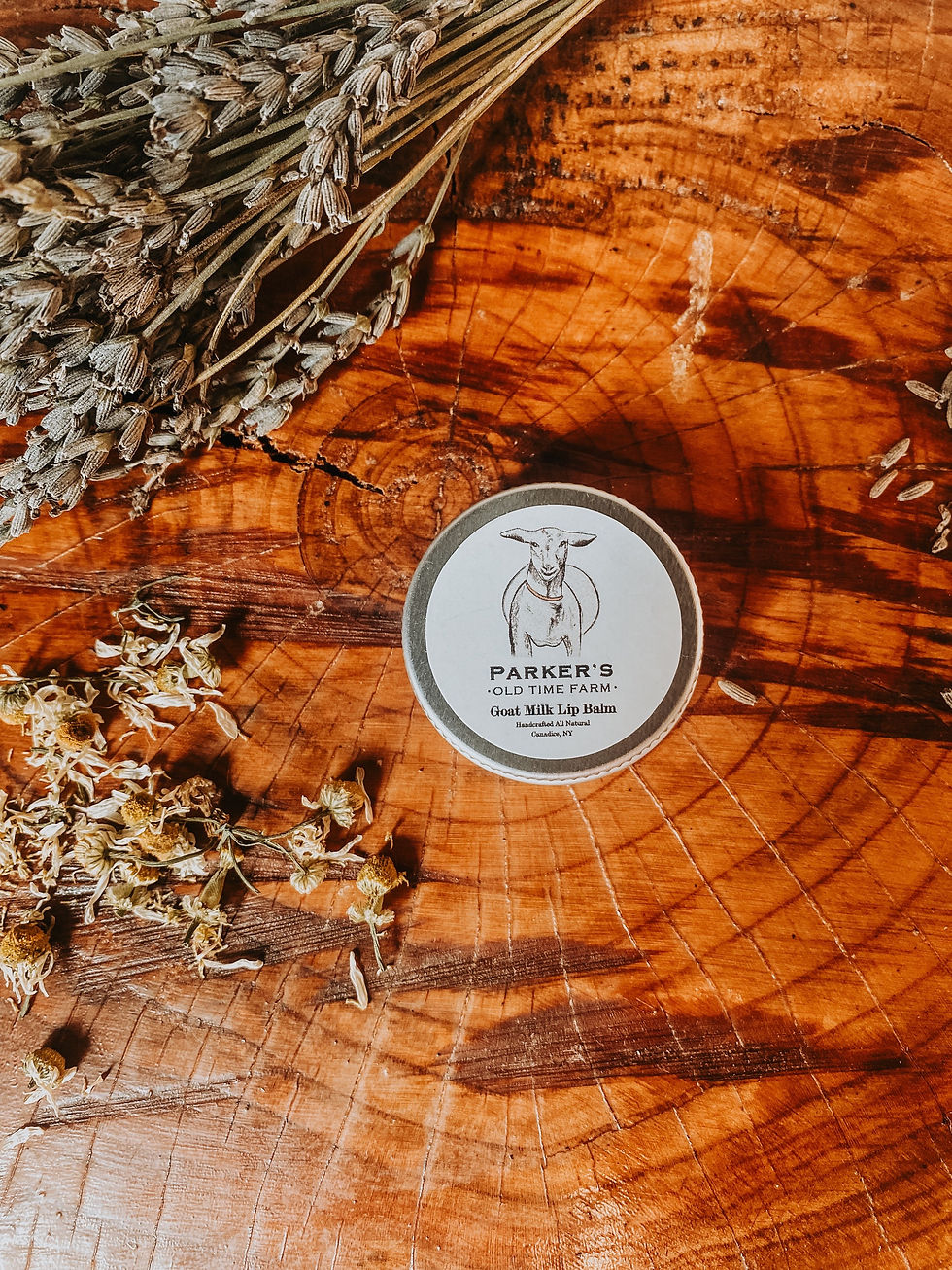 Thumbnail: GOAT MILK LIP BALM