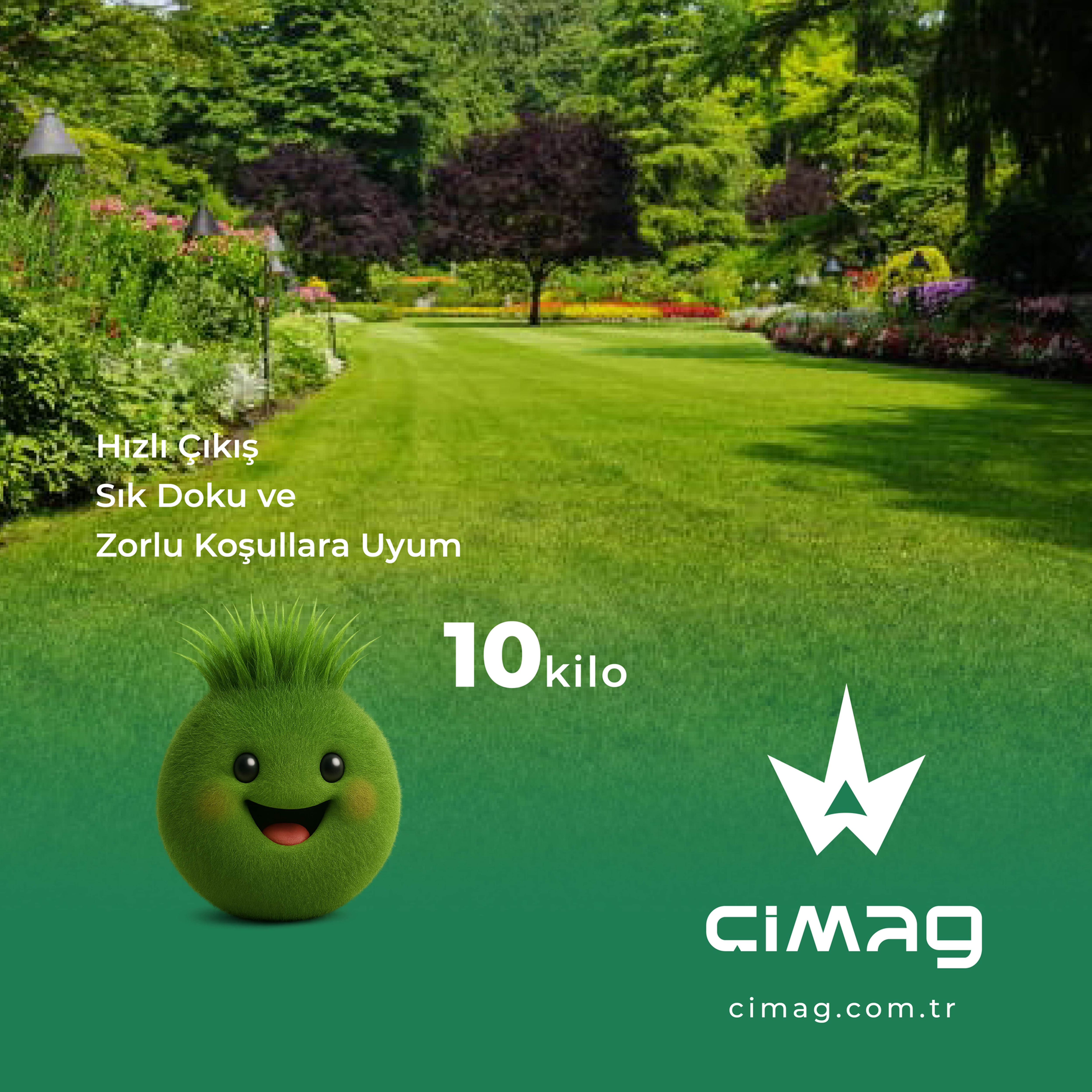 Park için Çim Tohumu - 1 kg