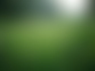 Yaz Sıcaklarında Çim Bakımı: Sararmayı Önleyen 5 Kritik Adım