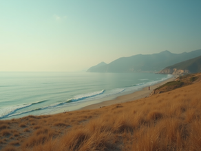Akdeniz Bölgesi İçin Hangi Çim Tohumu Kullanabilirim? Karışım Çim Tohumlarından Kaçlı Karışım İdeal Olabilir?