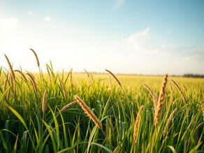 İlkbaharda Çim Ekimi: Rulo Çim mi Yoksa Tohum mu Seçilmeli?