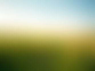 İlkbaharda Çim Ekimi: Rulo Çim mi Yoksa Tohum mu Seçilmeli?