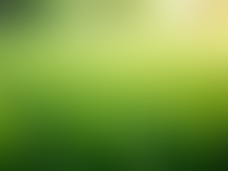 Çim Tohumu Satışında Doğru Tercih: Çimag Premium Çim Tohumları