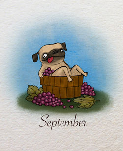 Сентябрь
