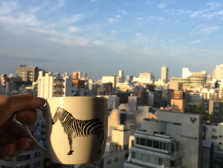 おはようございます🌞