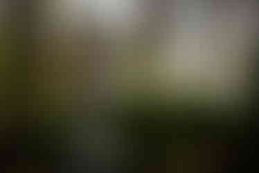 Sunset maternity session on lake