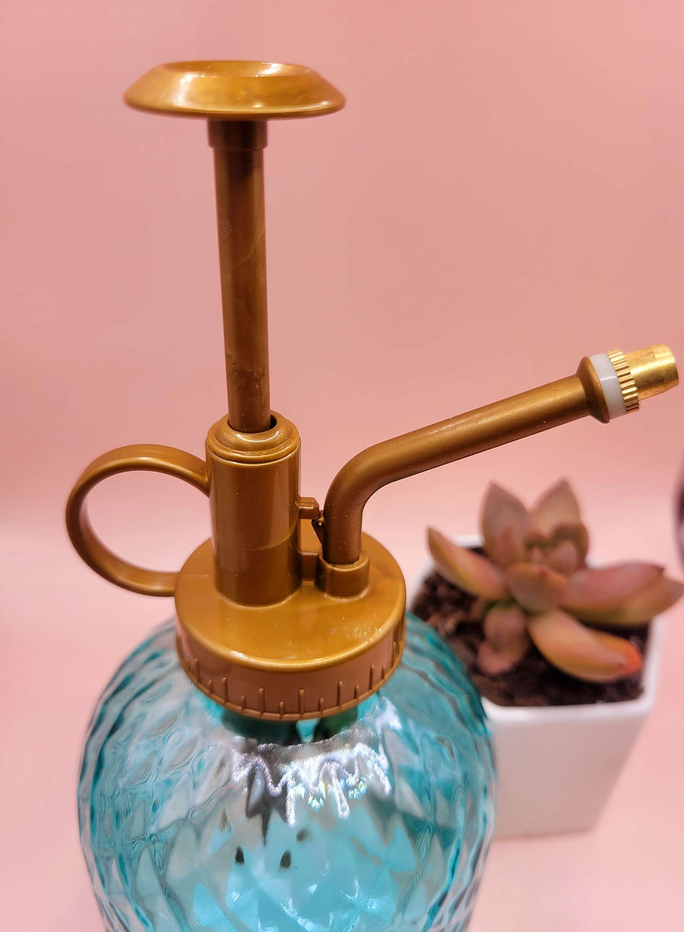 Thumbnail: Vintage Glass Plant Mister 