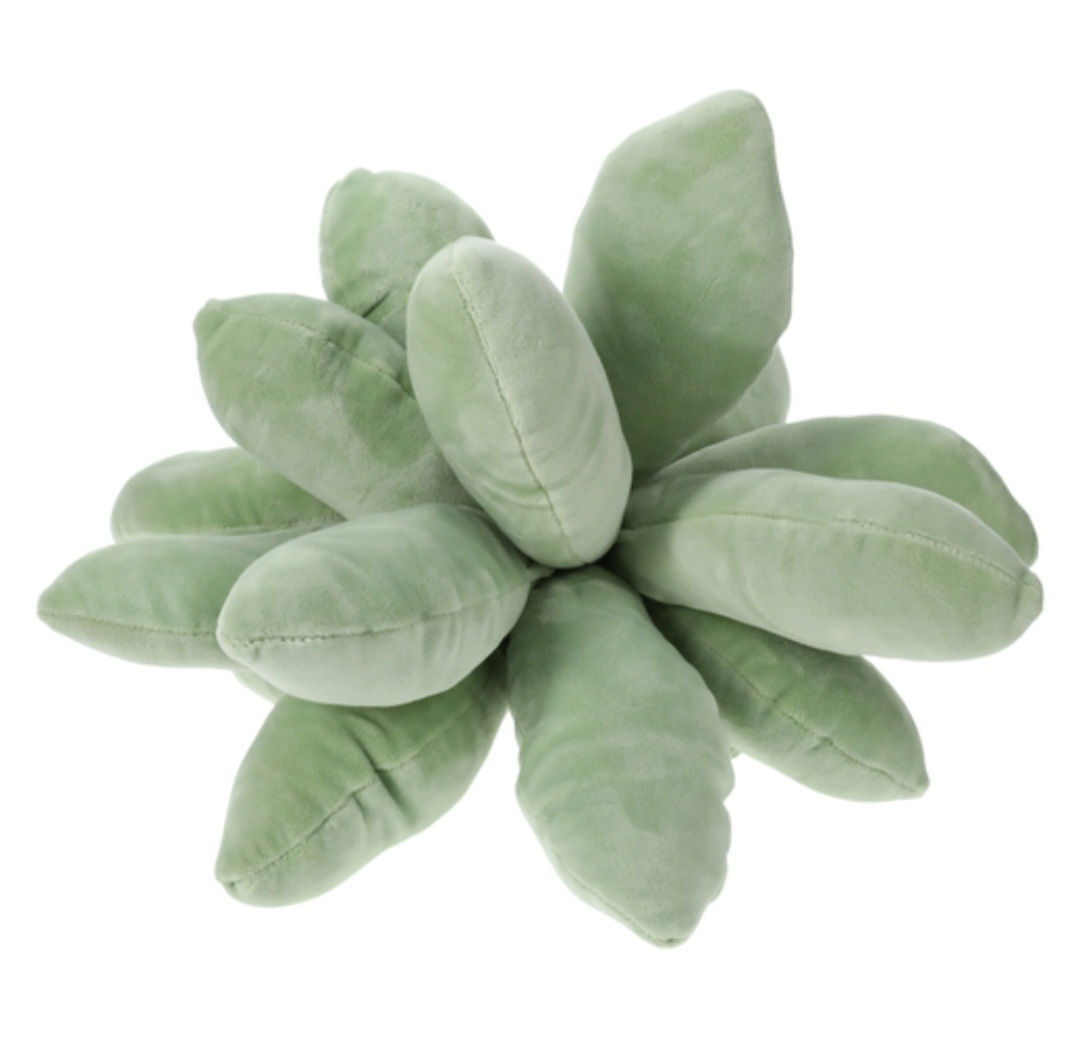 Green 3D Succulent Pillow