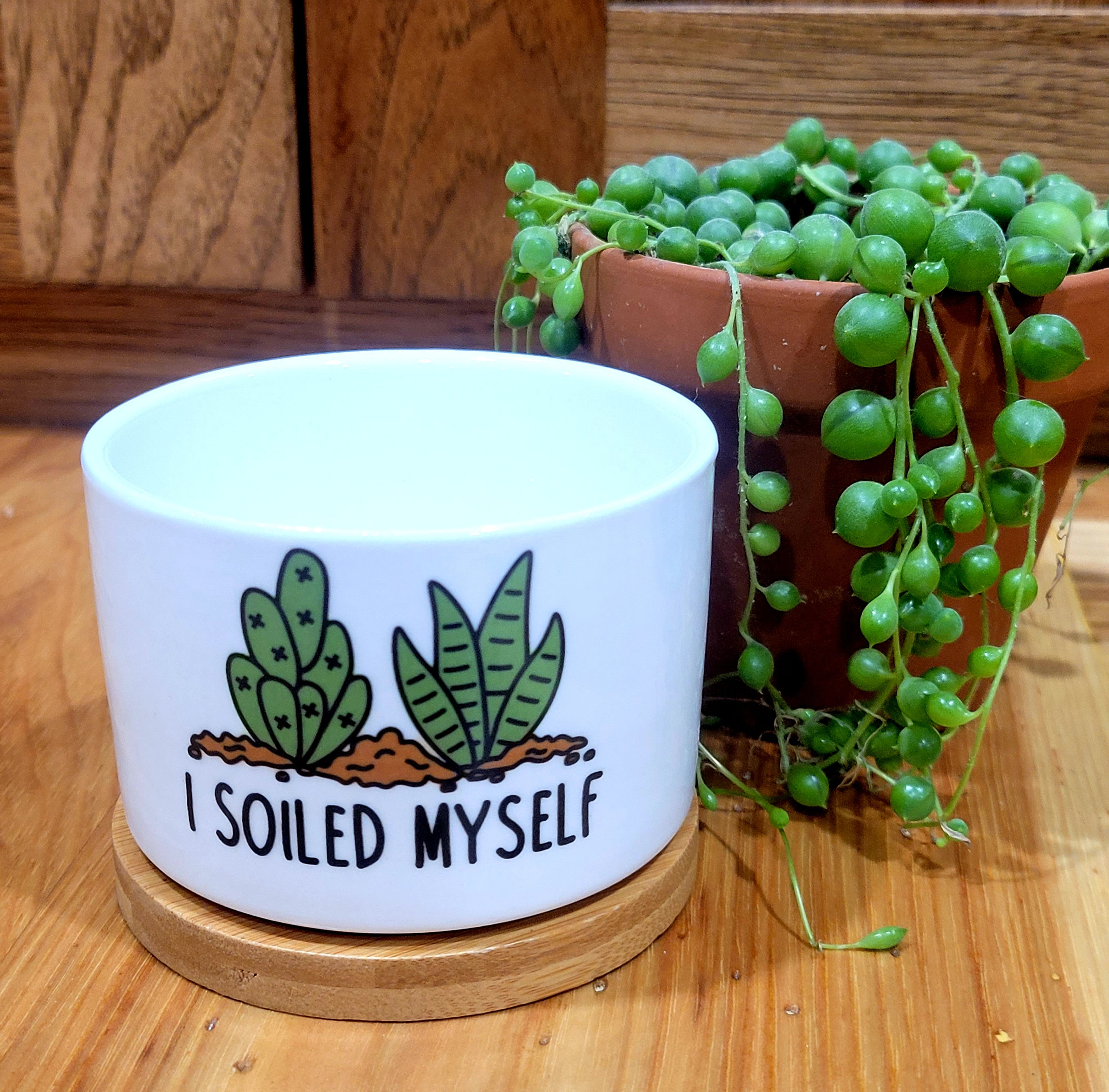"I Soiled Myself" Small Plant Pot 