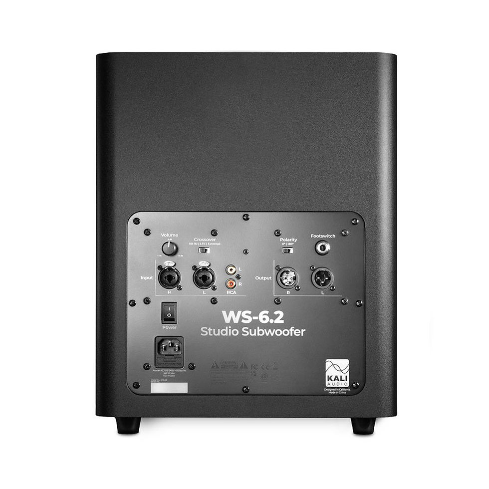 Miniatiūra: WS-6.2-EU Active studio subwoofer
