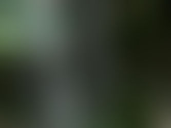 Tandemstory - Yuliya und Armelle