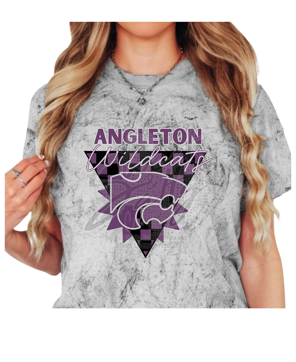 Angleton Checkered Pride Tee