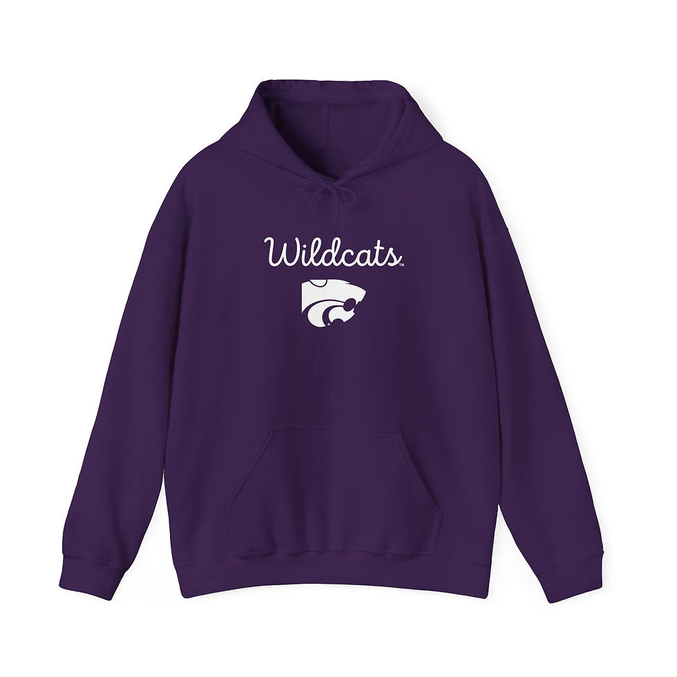 Thumbnail: Wildcats w/Power Cat Hoodie