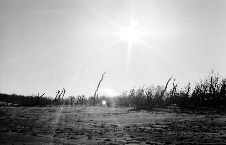 Echo of Photons. Jagodzinska Susann Carmen. 11.jpg