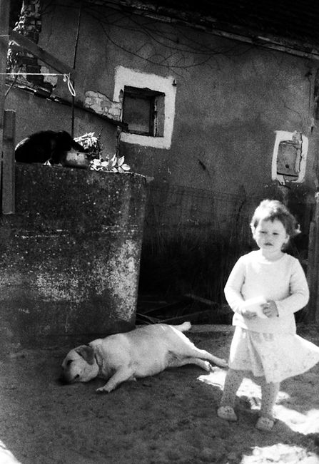 Echo of Photons. Jagodzinska Susann Carmen. 09.jpg