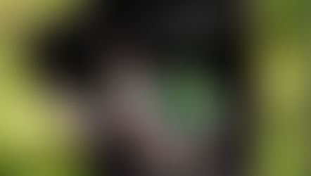 Life and Death: Twilight Reimagined