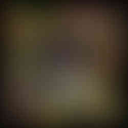 Wilder Girls surrounded by assorted nature things and chocolate