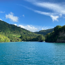 Screenshot 2021-12-29 at 09.09.32.png