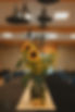 1T2A9051.jpg