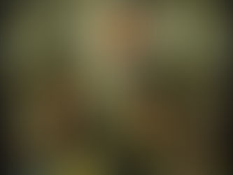 The Billion‑Dollar Land Grab: How ‘Owning Trees’ Becomes the New Offshore Bank Account