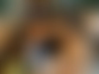 India's Microfinance Meltdown: The Debt Trap, And Why No One Saw It Coming