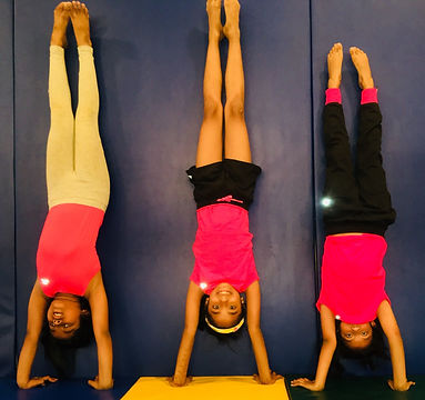 Aerial Zone Gymnastics