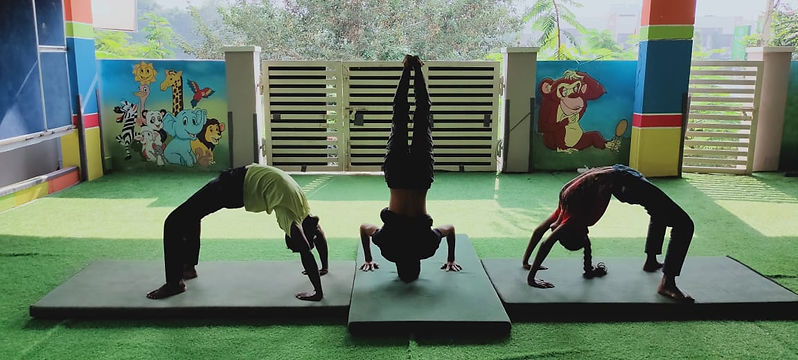 Biohm Gymnastics
