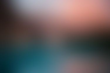 Maximizing Value: Preparing for a Sale