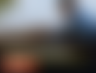 ‘The Sheep Detectives’ Review: A Whodunit That Delivers Heart, Humor, and Healing