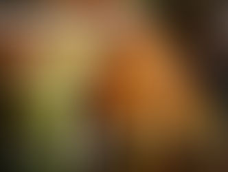 Dwayne The Rock Johnson Becomes MMA Fighter Mark Kerr In ‘THE SMASHING MACHINE’ Trailer!